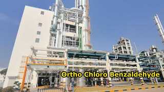 Para Kloro Benzaldehida-Changzhou Xindong Chemical Industry Development Co., Ltd.