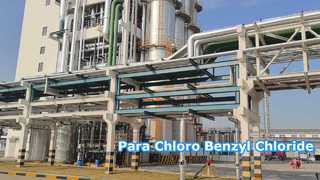 Para Kloro Benzil Klorida - Changzhou Xindong Chemical Industry Development Co., Ltd.