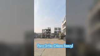 Ortho Kloro Benzil Klorida dari pabrik